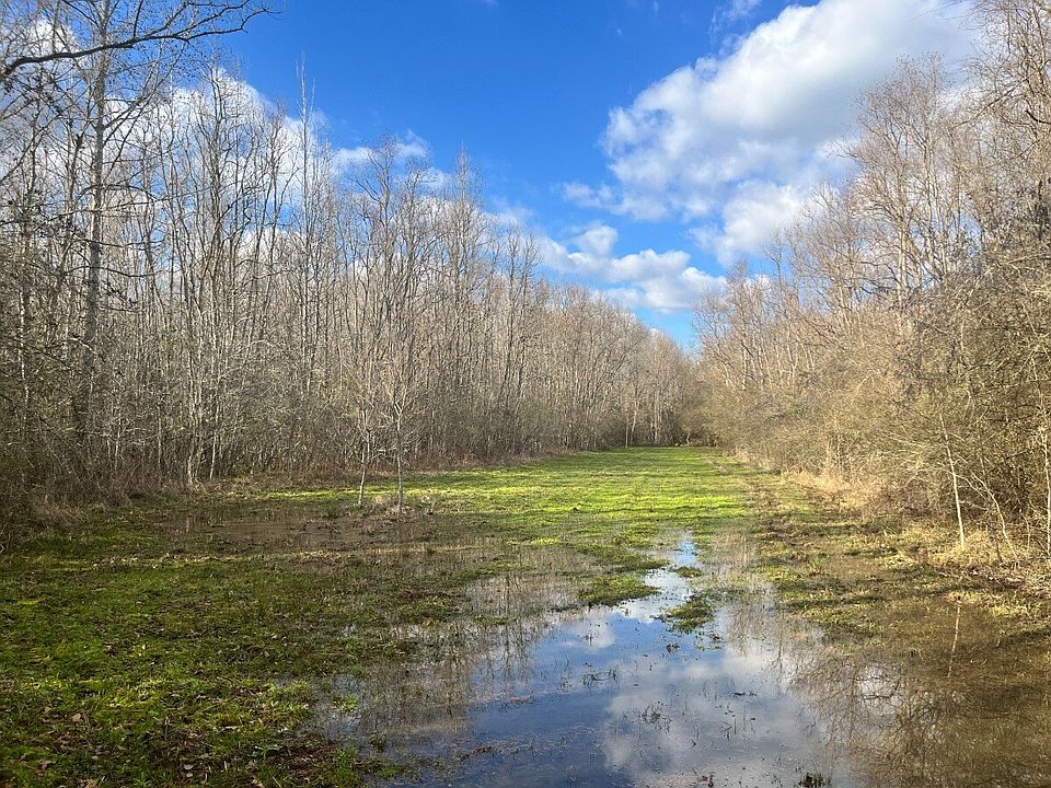 Large wildlife food plot located near south boundary