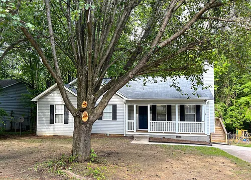536 Loblolly Ln Photo 1