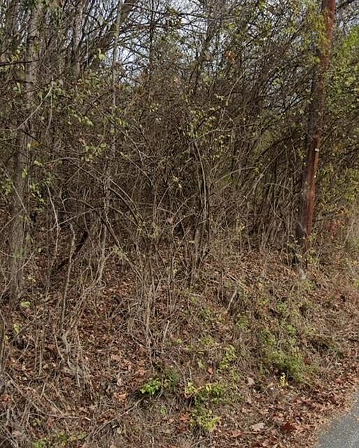 2nd image of 169 Dal Brown Rd