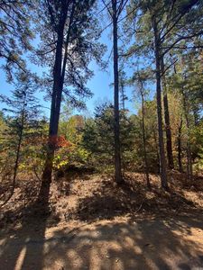 0 Twin Coves Cir, Higden, AR, 72067