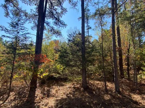 0 Twin Coves Cir, Higden, AR 72067