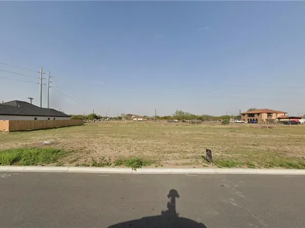 2809 N Alyna Ave, Edinburg, TX 78541