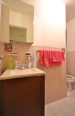 Rented by GPS Realty NYC | media 15