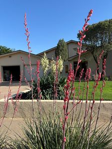 3723 95th St, Lubbock, TX, 79423