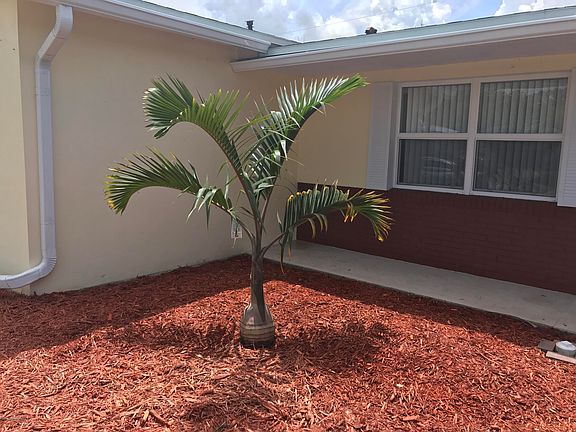 2nd image of 3195 Ellen Dr