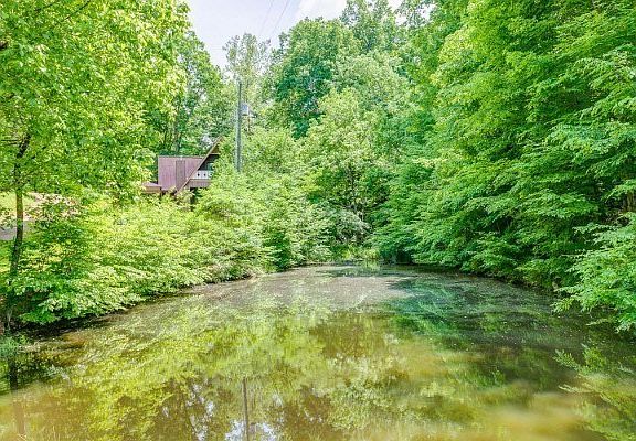 3rd image of 3807 Bear Creek Rd