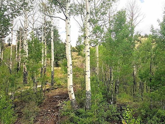 3rd image of TBD Forest Service Road 644 Seitz Creek