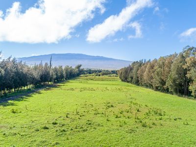 33 Two #A, Kamuela, HI, 96743