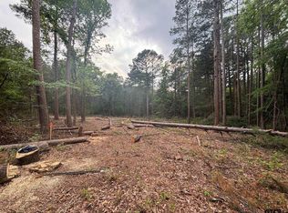 Tbd Zinnia Rd, Diana, TX 75640