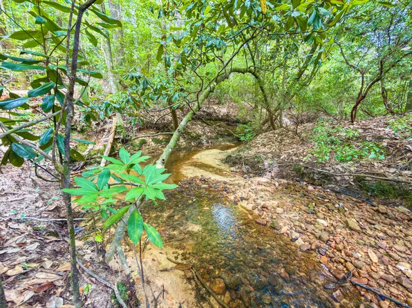 0 Sonyas Rd, Toxey, AL 36921