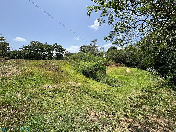4th image of Carr 165 Sector Parcelas Nuevas