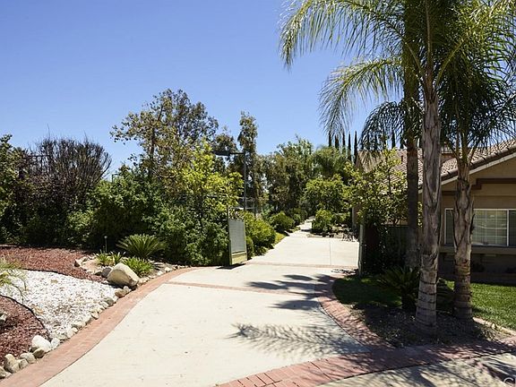5th image of 520 Pomello Dr