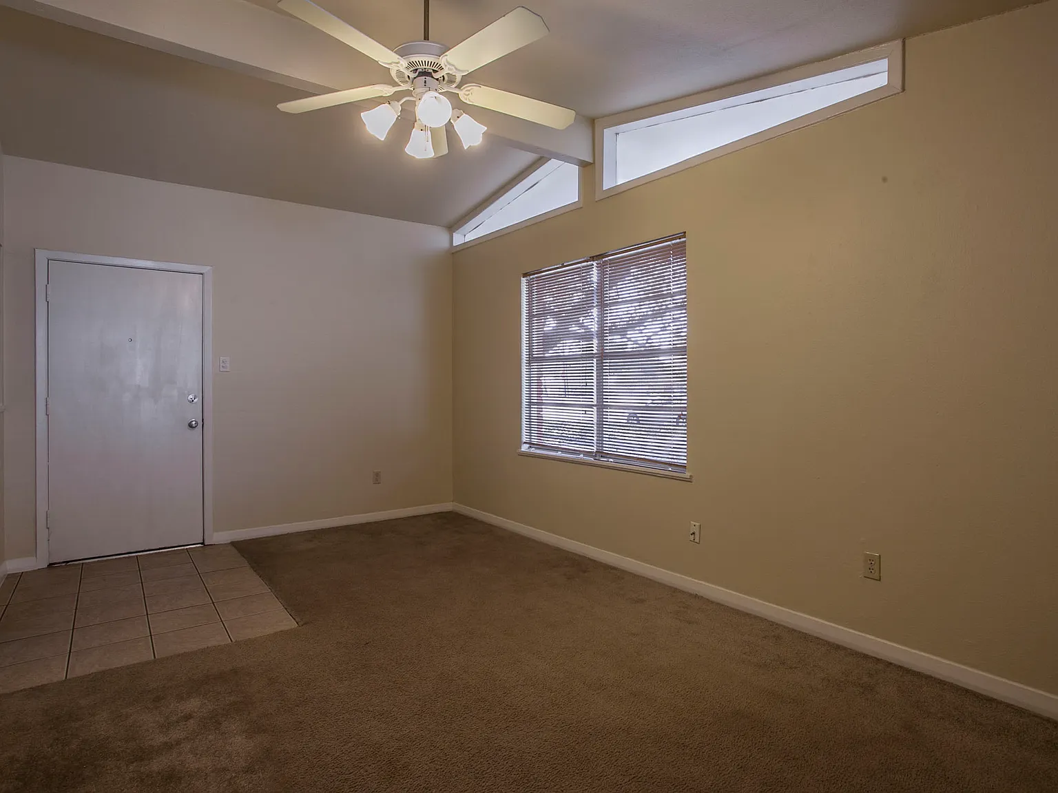 601 Rita — Photo 2