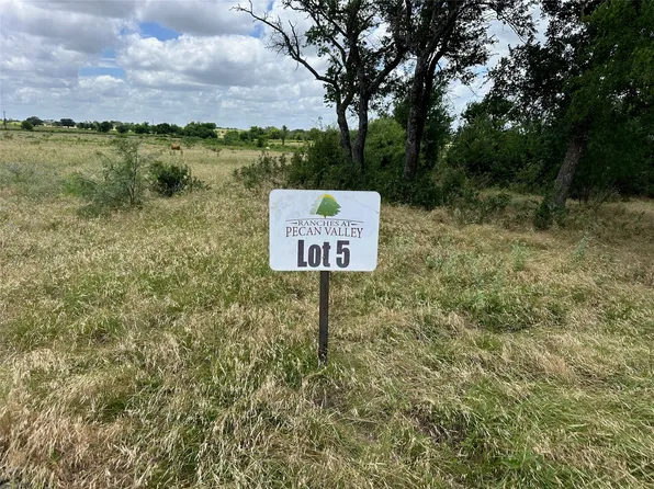5 Pecan Valley Dr, Energy, TX 76452