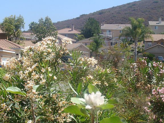 4th image of 1289 Avenida Amistad