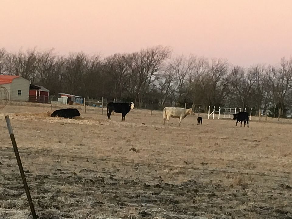 1st image of 7858 County Road 4803