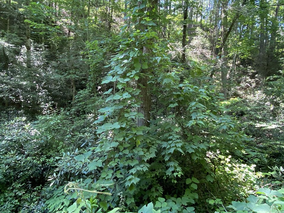 1st image of 0 Buttonwood Dr Lot 70