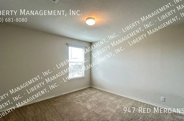 947 Red Merganser — Photo 23