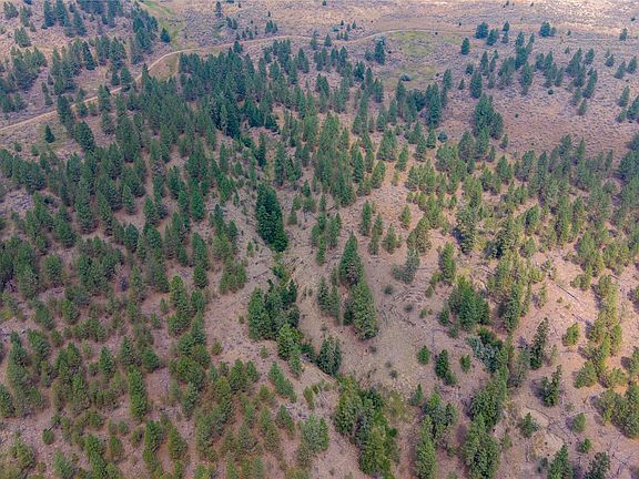 4th image of 4337 Kamloops Shuswap Rd