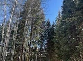 400 & 410 Lake Ave, Aspen, CO 81611