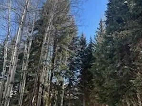 400 & 410 Lake Ave, Aspen, CO 81611