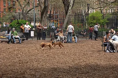 Rented by Camhi NYC Realty Inc