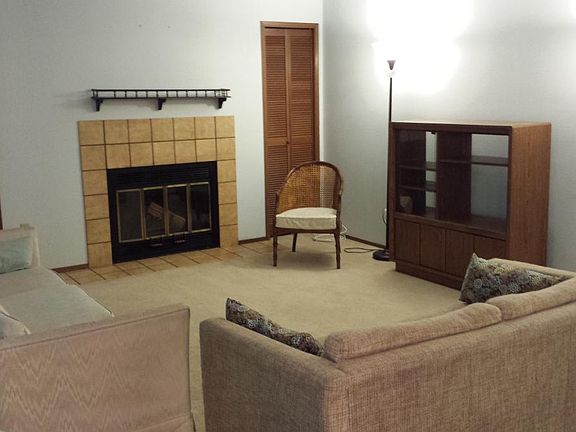Living room and fireplace