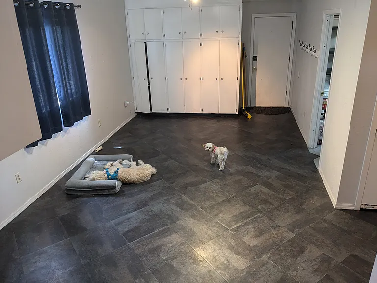 Den from Laundry Room/Kitchen (previously used as game room for kids)