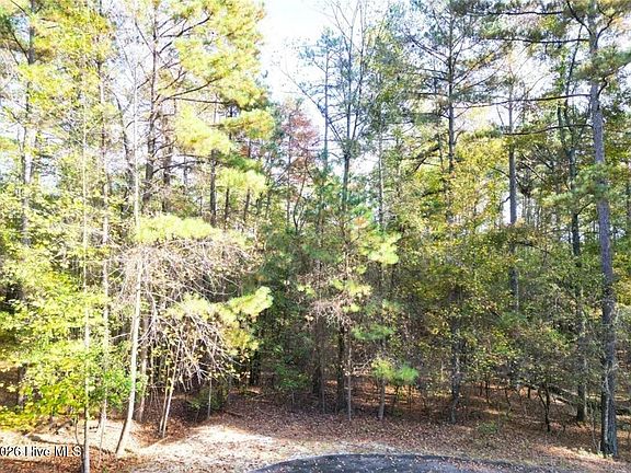 4th image of 151 Cobblestone Pl Lot 38