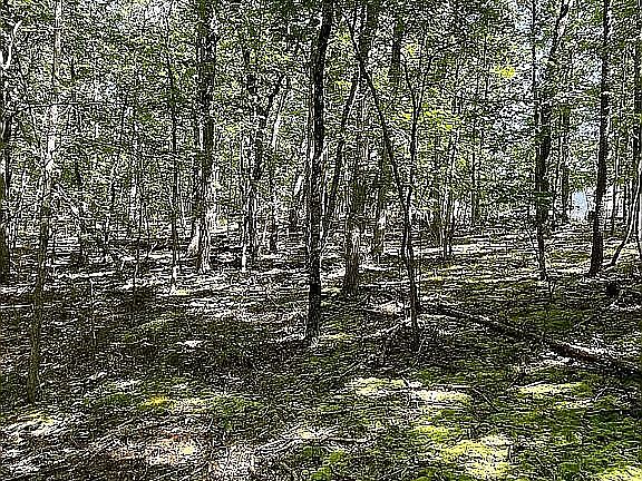 2nd image of LOT 6 W Four Seasons Ln