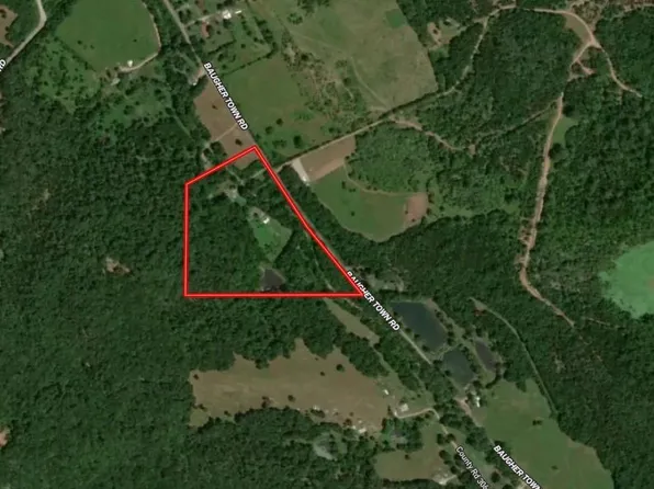 10322 Baugher Town Rd, Richwoods, MO 63071