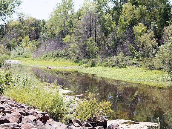 On Beautiful Cow Creek