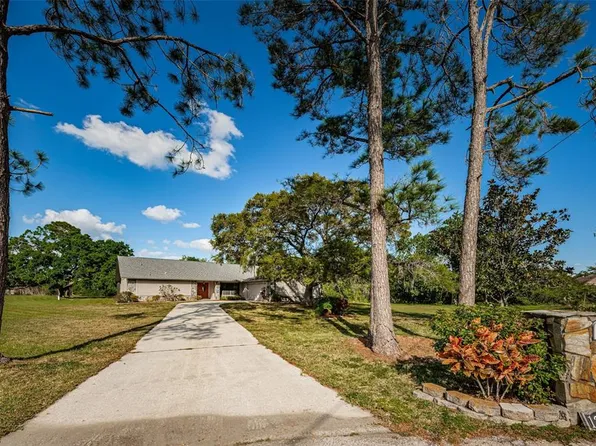 12401 PONY COURT, TAMPA, FL 33626