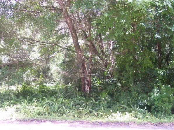 12905 Casa Bianca Ave, New Port Richey, FL 34654