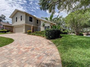 20 Turnstone Dr, Safety Harbor, FL 34695