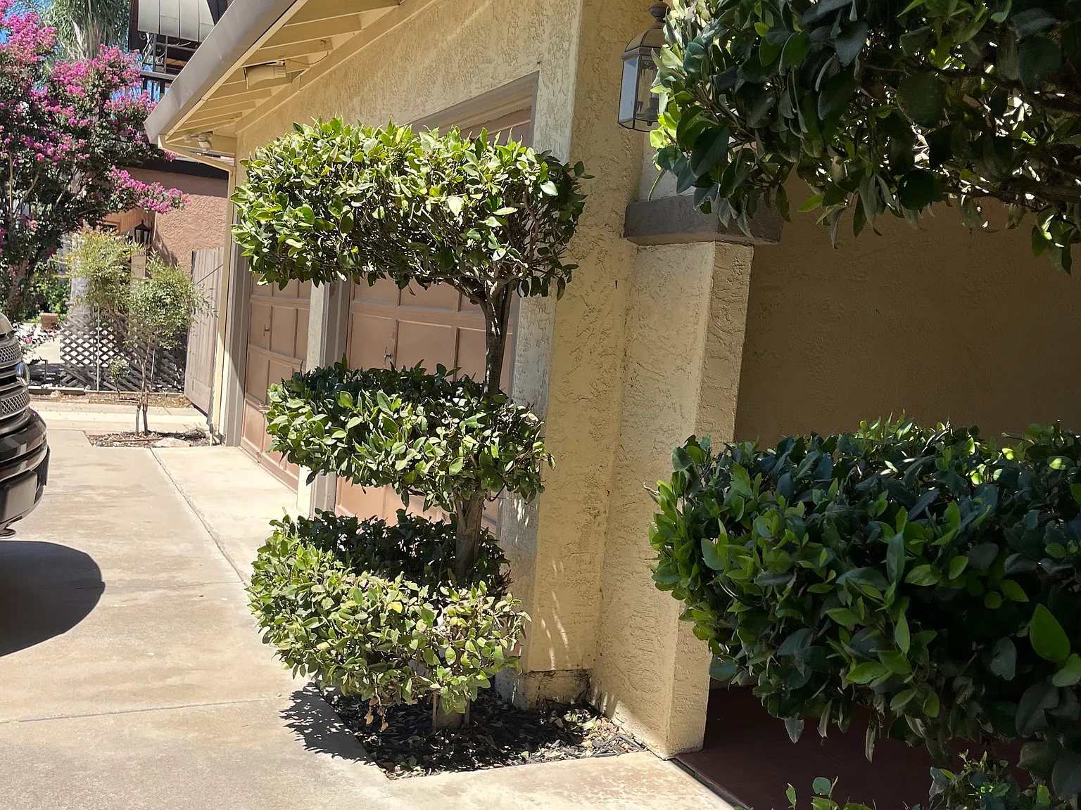 3 bed, 1854 sqft, $2,500 — Photo 4
