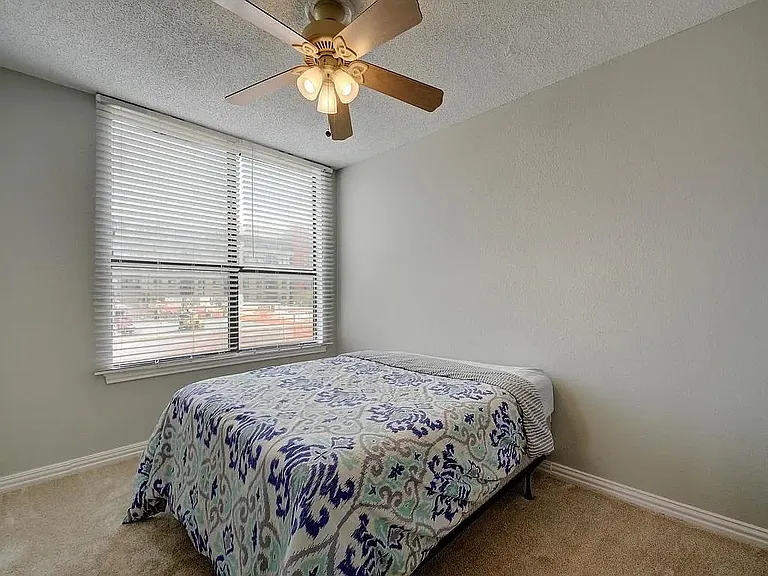 2409 Leon St #207 — Photo 11