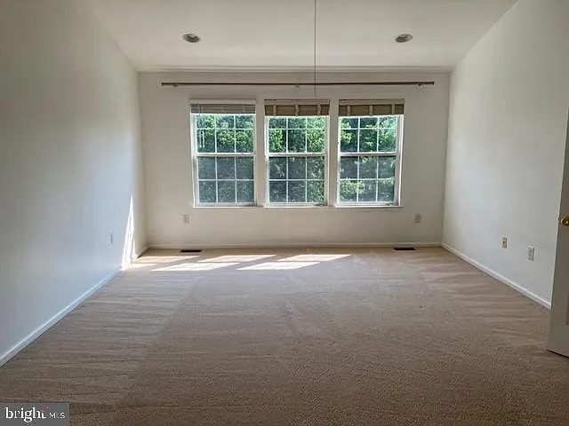 245 Colt St — Photo 14