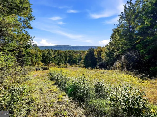 LOT 4 Brooke Trout Dr, Wardensville, WV 26851