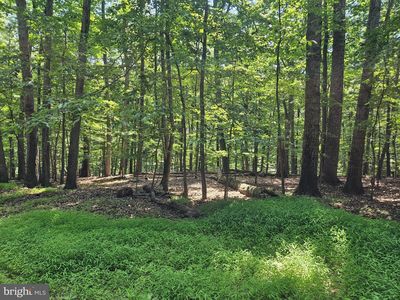 Dogwood Ln, Bluemont, VA, 20135