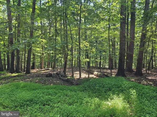 Dogwood Ln, Bluemont, VA 20135