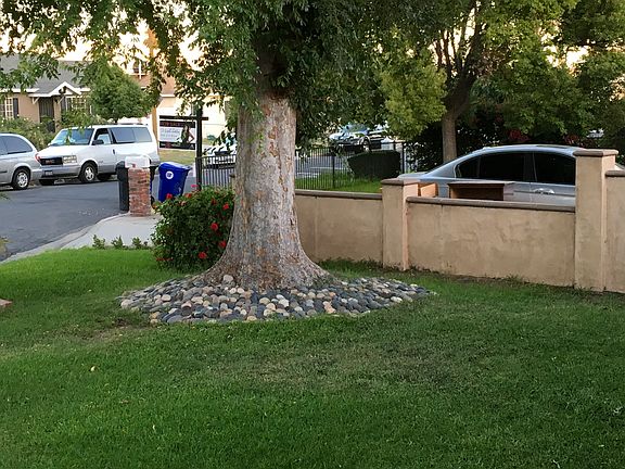4th image of 1303 Park Rose Ave
