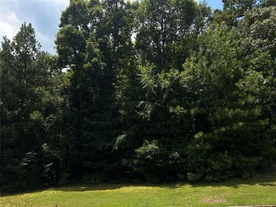 1805 Alcovy Ridge Ln UNIT 13, Loganville, GA, 30052