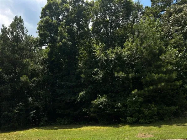 1805 Alcovy Ridge Ln Unit 13, Loganville, GA 30052