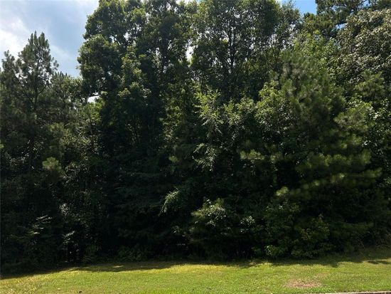 1805 Alcovy Ridge Ln Unit 13, Loganville, GA 30052