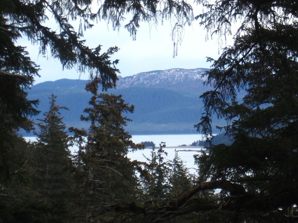 view from top of property 