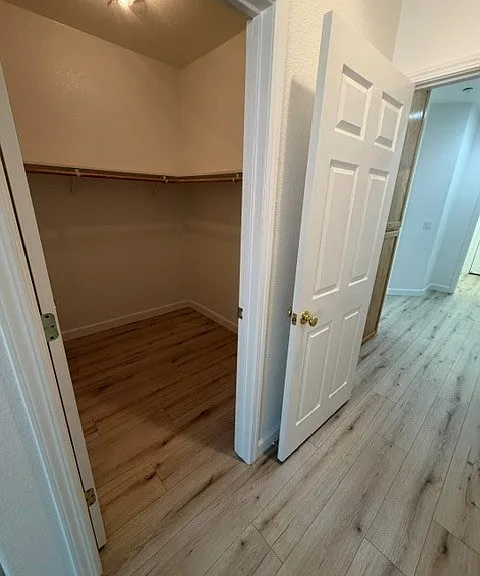 734 Foxglove Cir — Photo 12