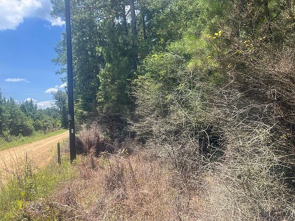 3rd image of Poor Ridge Run Rd