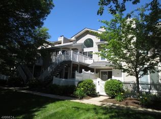 20 Ashley Ct, Bedminster, NJ 07921