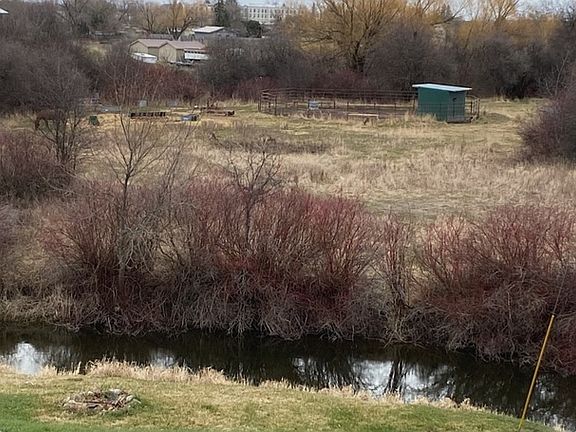 Back yard view